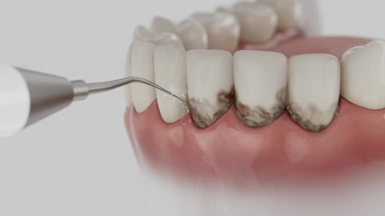 Reliable Dental contractor in Cumberland, MD by Dentist Open Now